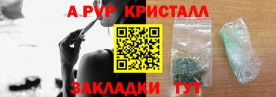 стаф Канаш