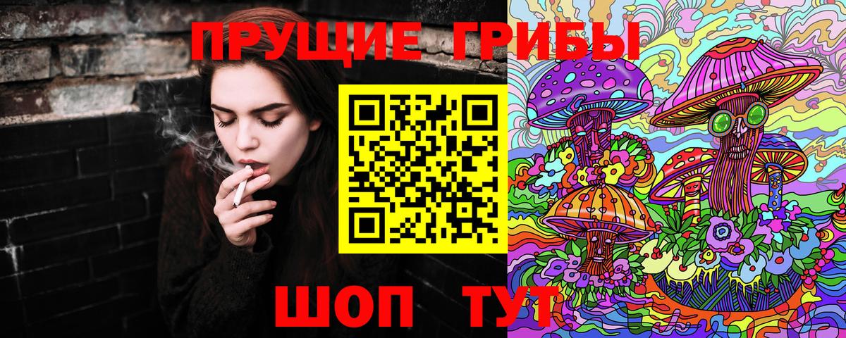 Галлюциногенные грибы Psilocybe Кропоткин