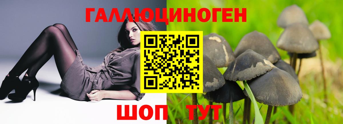 Галлюциногенные грибы GOLDEN TEACHER  Вход с VPN  Кропоткин  Галлюциногенные грибы прущие грибы 